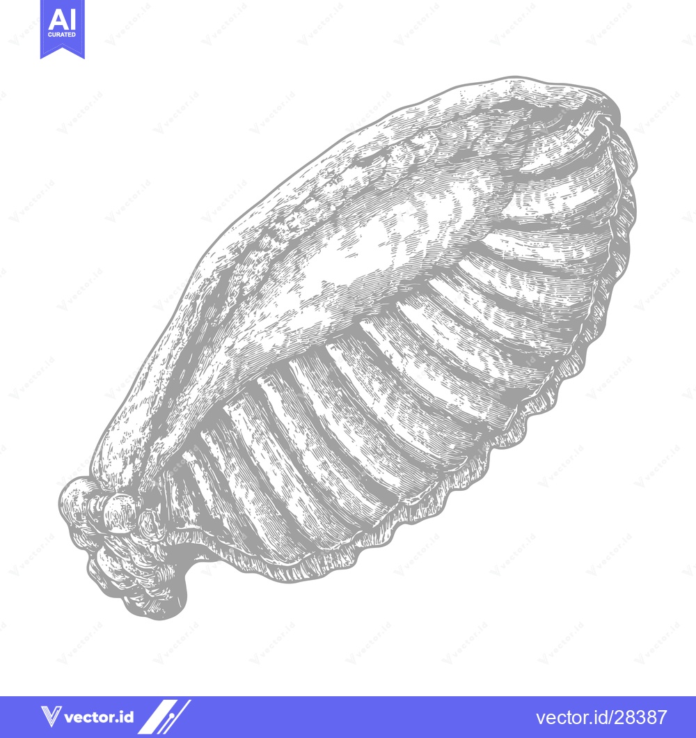 Premium Vector dari Detailed Engravings Of A Rack Of Lamb Ribs