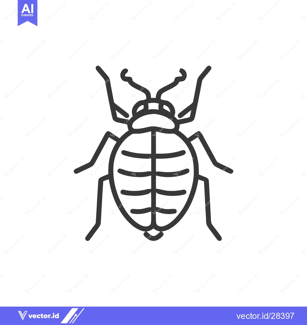 Premium Vector of Minimalist Line Art: Detailed Bed Bug Illustration on White Background