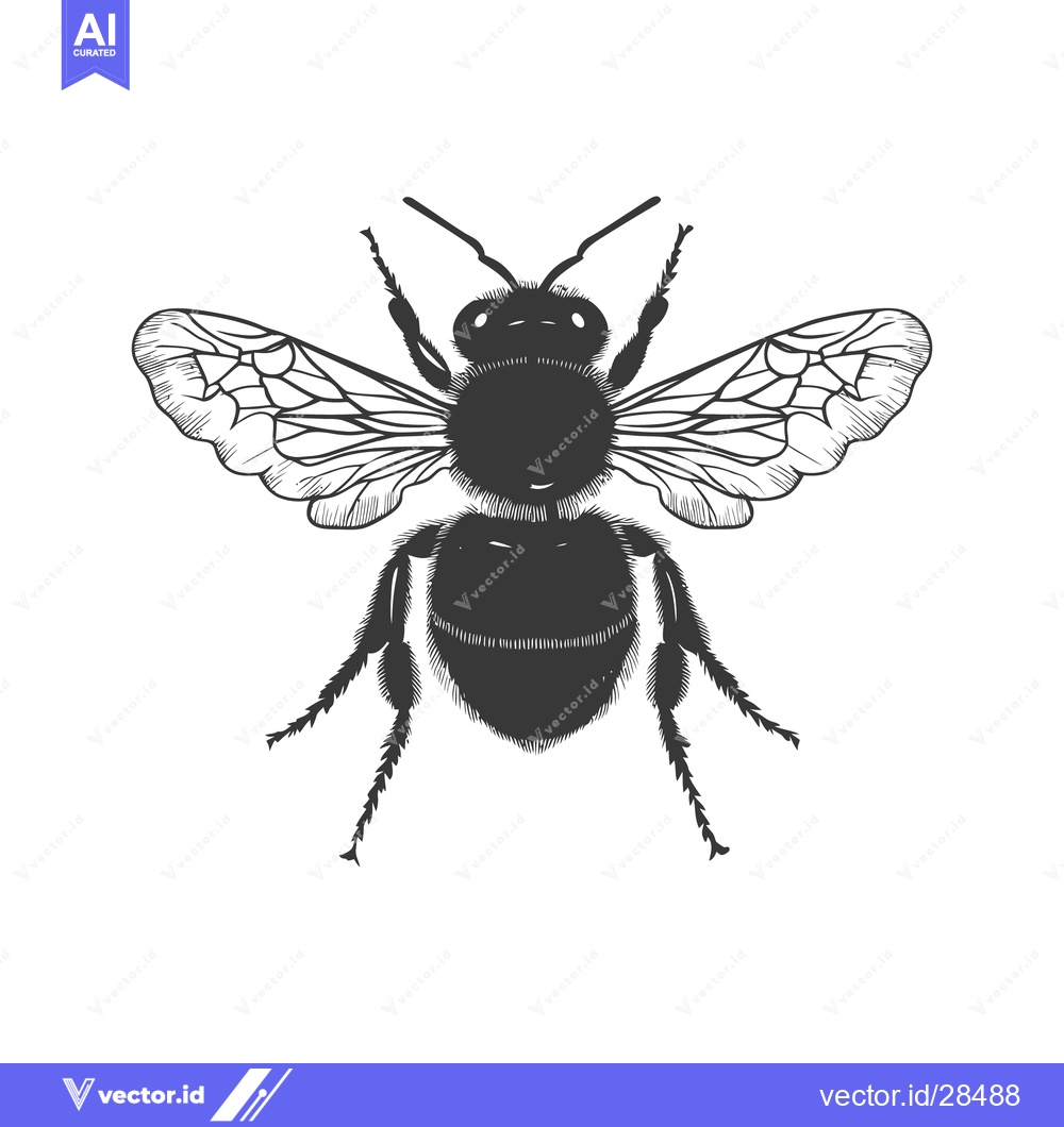 Premium Vector dari Black and white detailed illustration of a honeybee insect