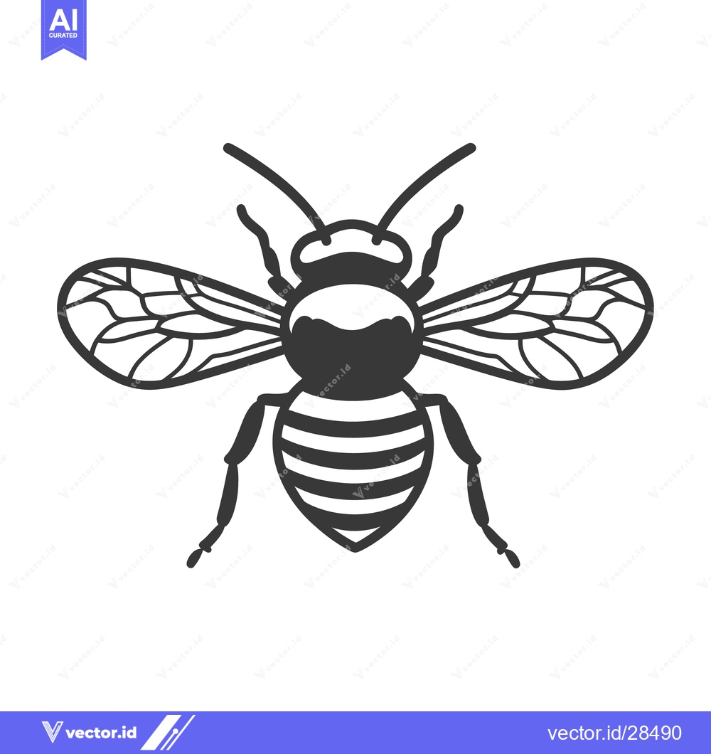 Premium Vector of A detailed overhead black and white illustration of a honeybee