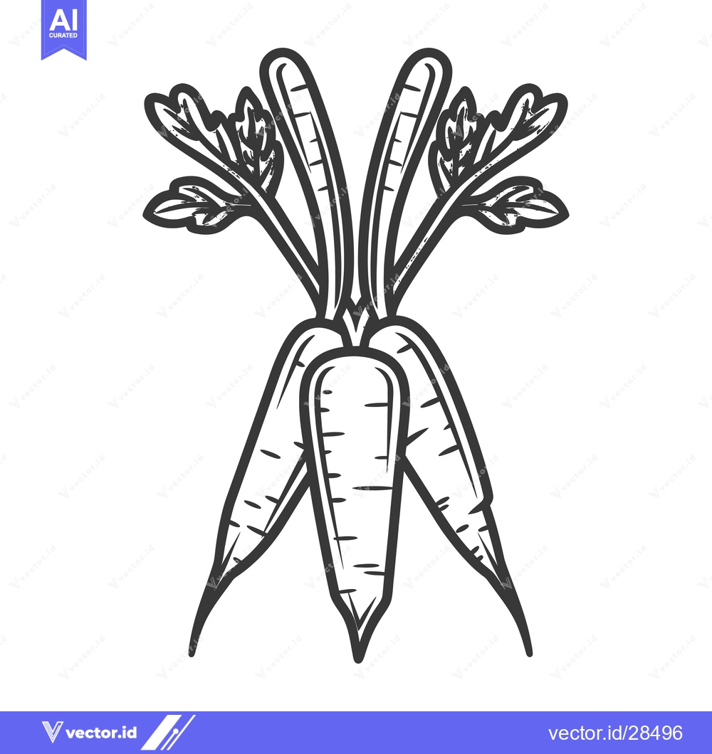 Premium Vector dari Bunch of Three Carrots with Green Tops