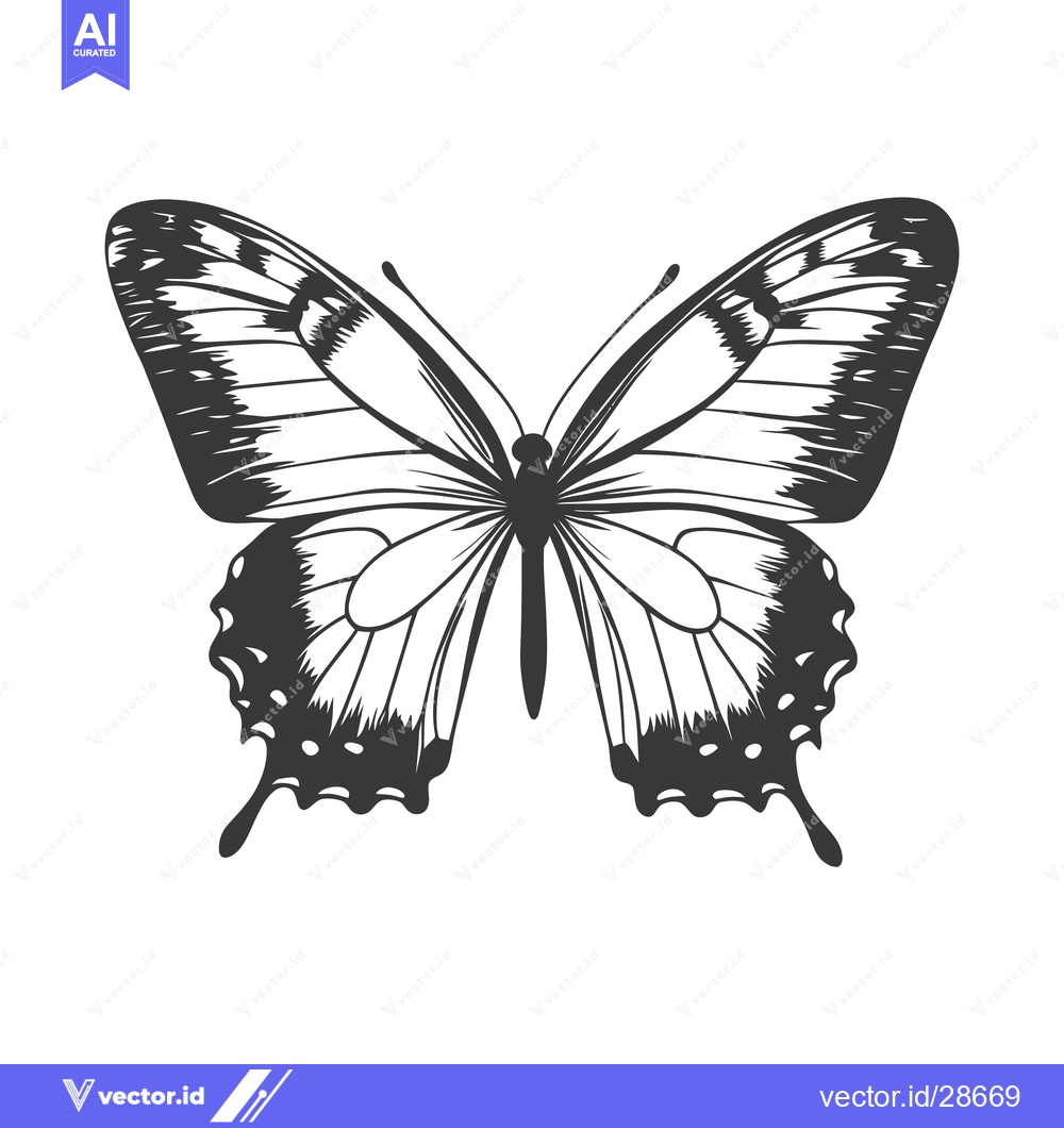 Premium Vector dari A detailed illustration showing a symmetrical black and white butterfl