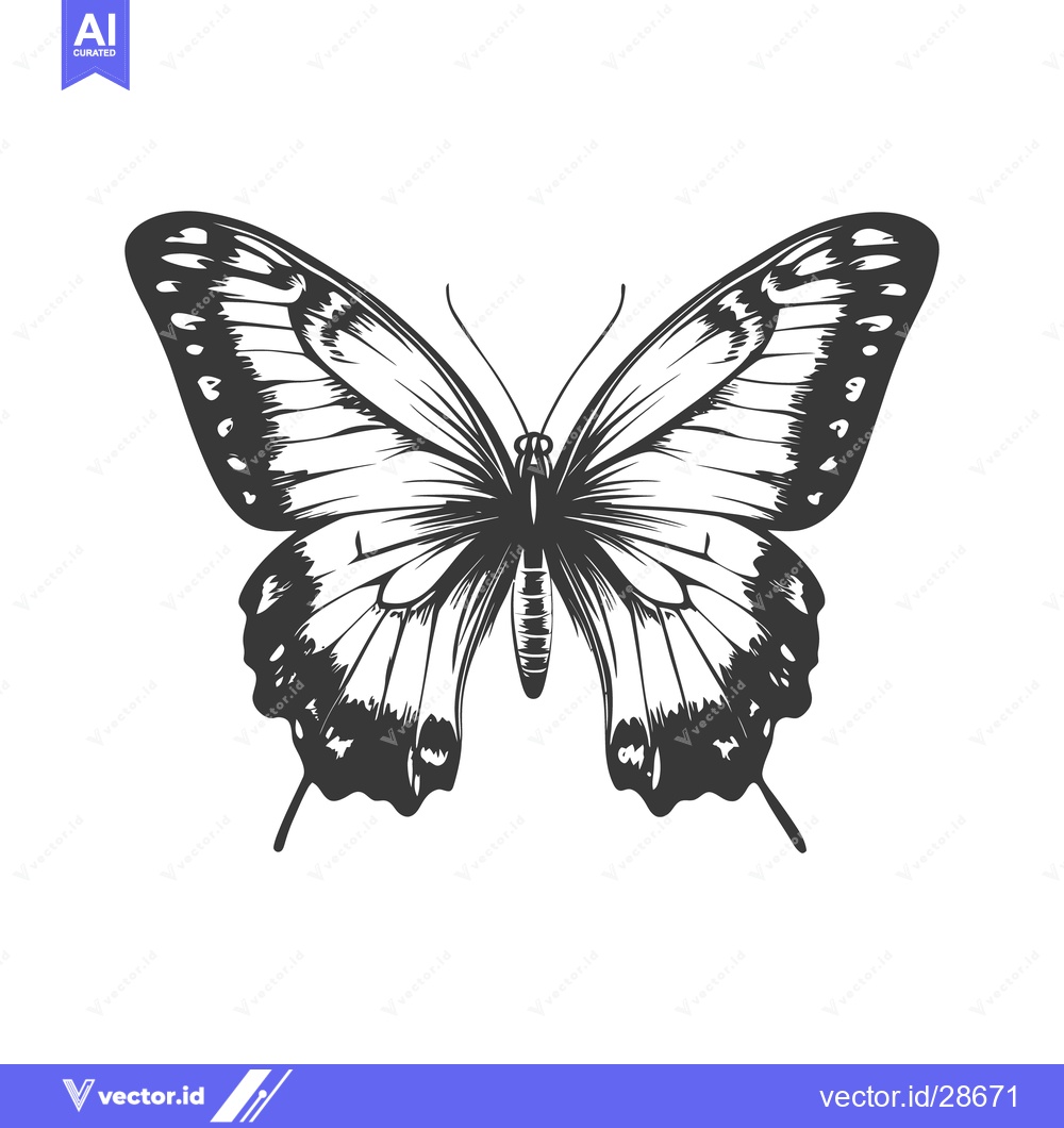 Premium Vector dari A detailed illustration of a butterfly with outstretched wings