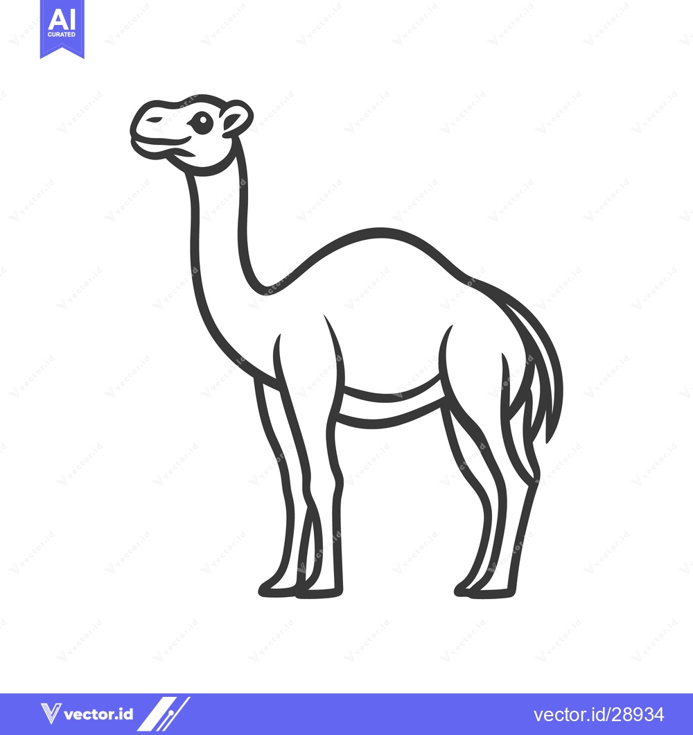 Premium Vector of A simple black line illustration depicting a dromedary camel animal