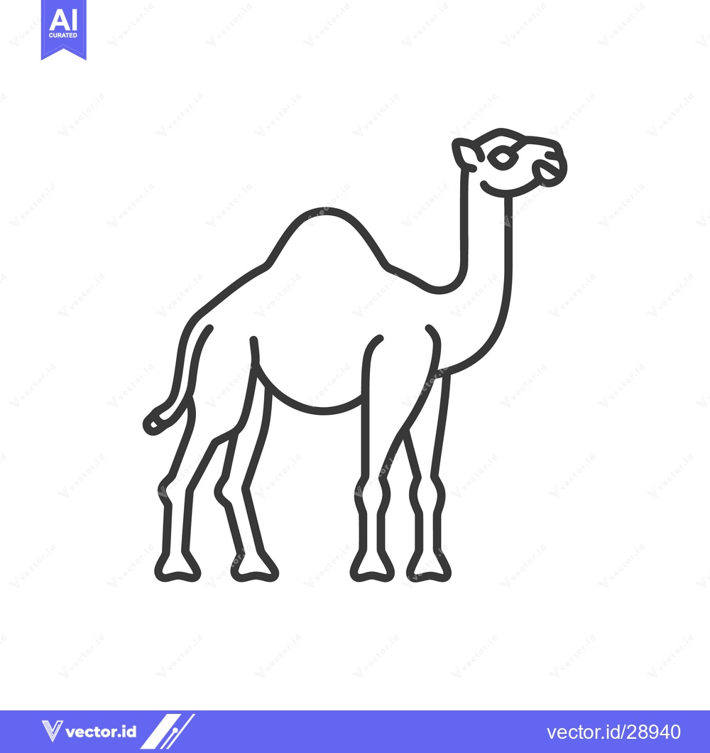 Premium Vector of A standing camel illustration with clean lines and a white background