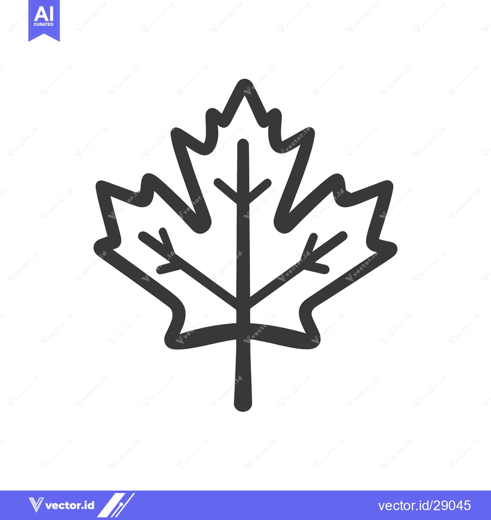 Premium Vector dari Simple graphic illustration of a maple leaf showing its structure deta
