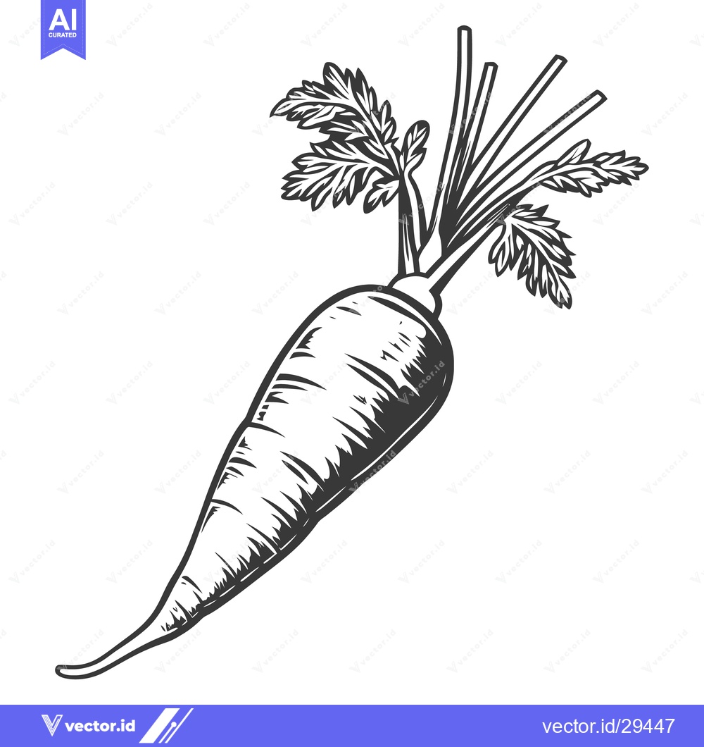 Premium Vector of An illustration of a fresh and detailed carrot vegetable