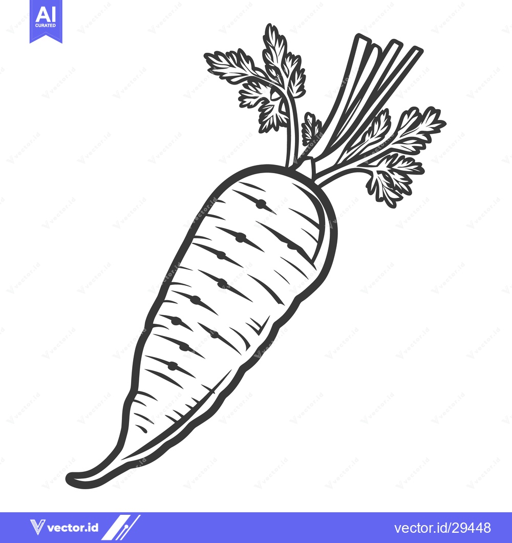 Premium Vector of A detailed monochrome illustration of a fresh carrot plant