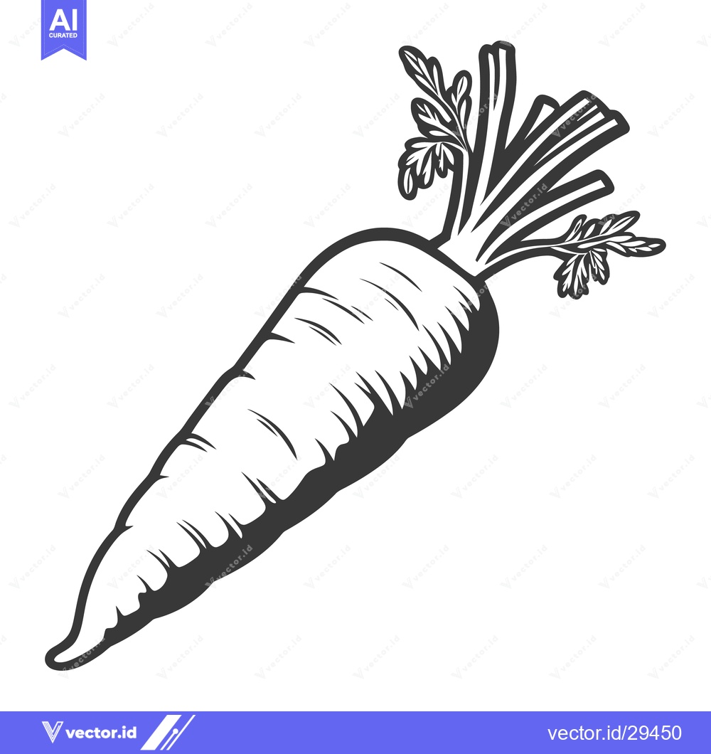 Premium Vector dari A detailed illustration depicts a single carrot with green leafy tops