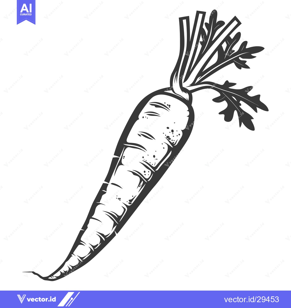 Premium Vector dari A monochrome drawing depicting a single carrot vegetable