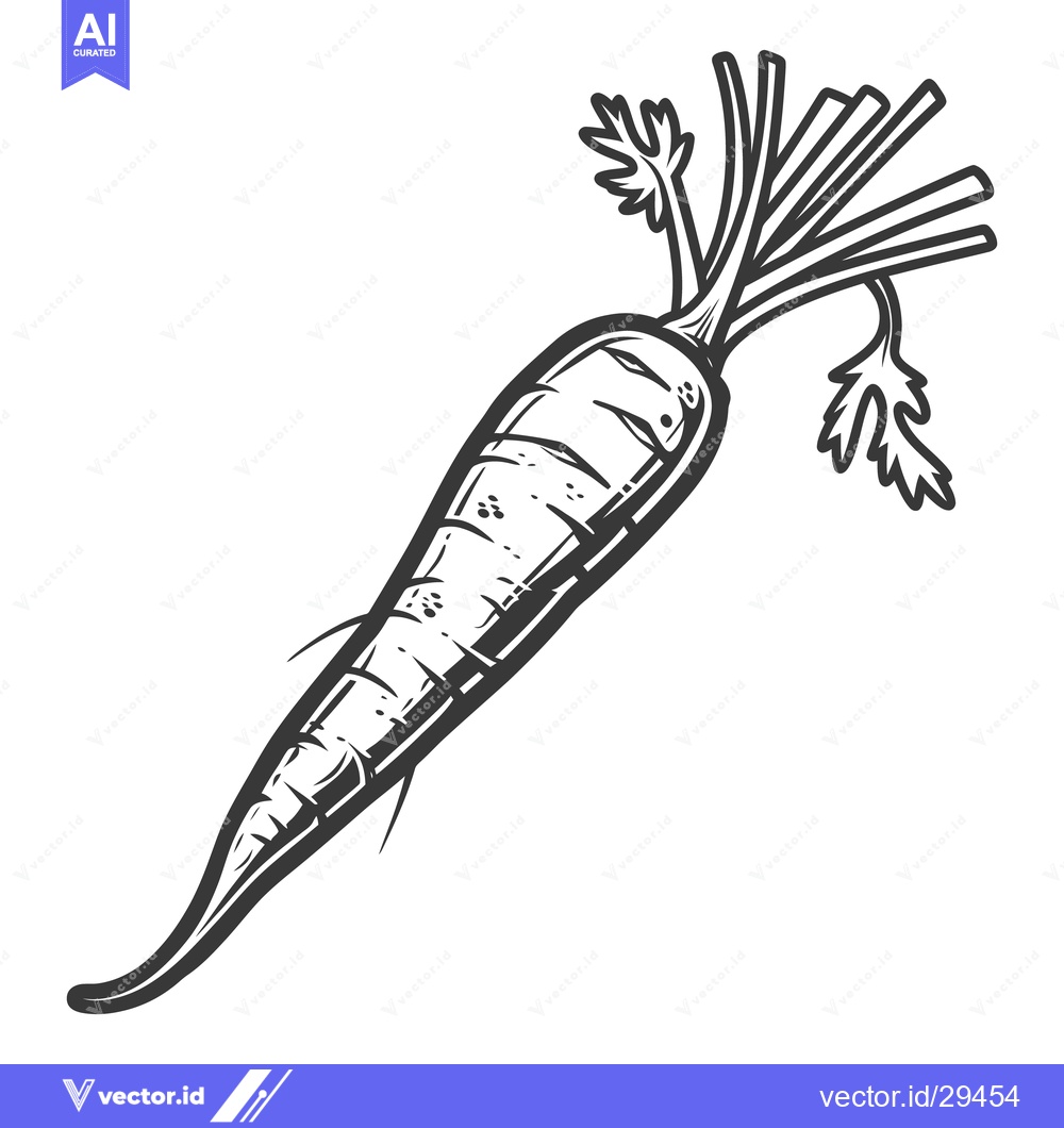 Premium Vector dari A detailed black and white illustration of an orange carrot