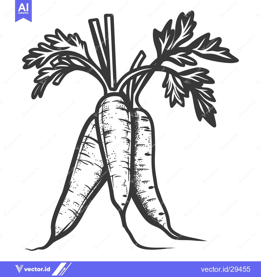 Premium Vector dari Three carrots with their leafy greens are illustrated in black and whi