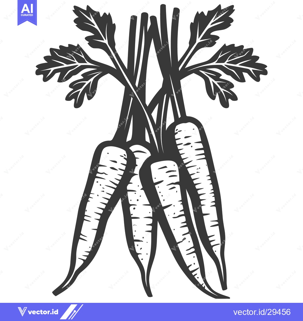 Premium Vector dari A bundle of carrots with their green leafy tops is shown