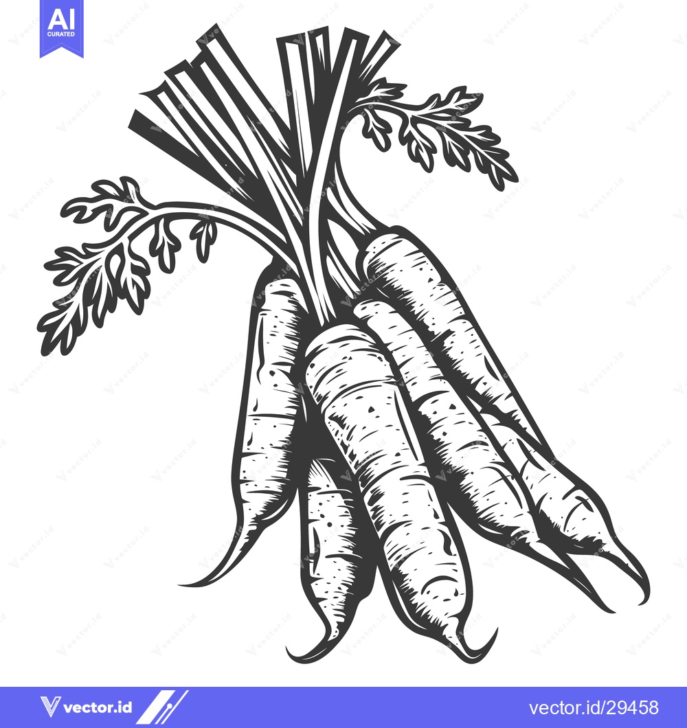 Premium Vector dari A bundle of fresh carrots with green leafy tops displayed