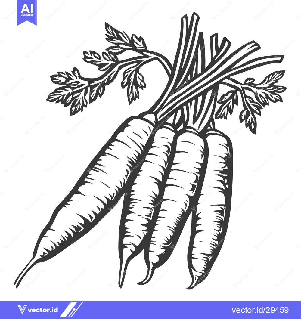 Premium Vector of Four carrots with green stems and leaves are shown together