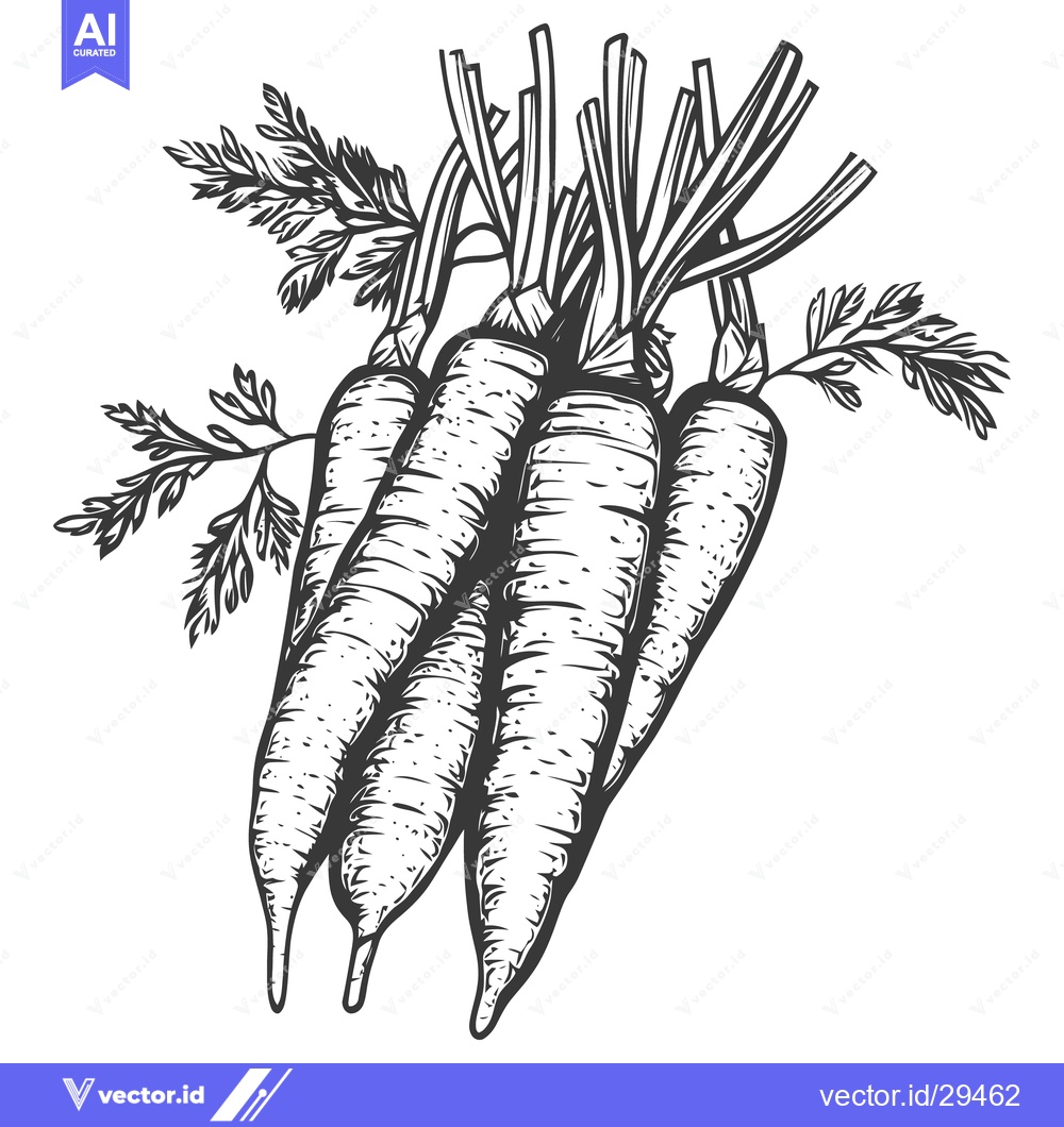 Premium Vector of A Bunch of Freshly Harvested Carrots With Green Leaves