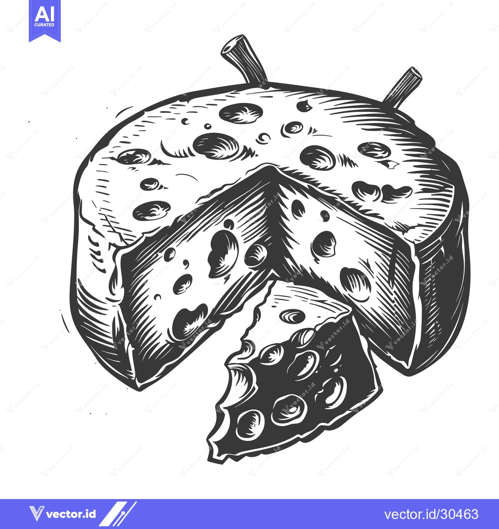 Premium Vector of A Wheel Of Swiss Cheese Sliced And Broken