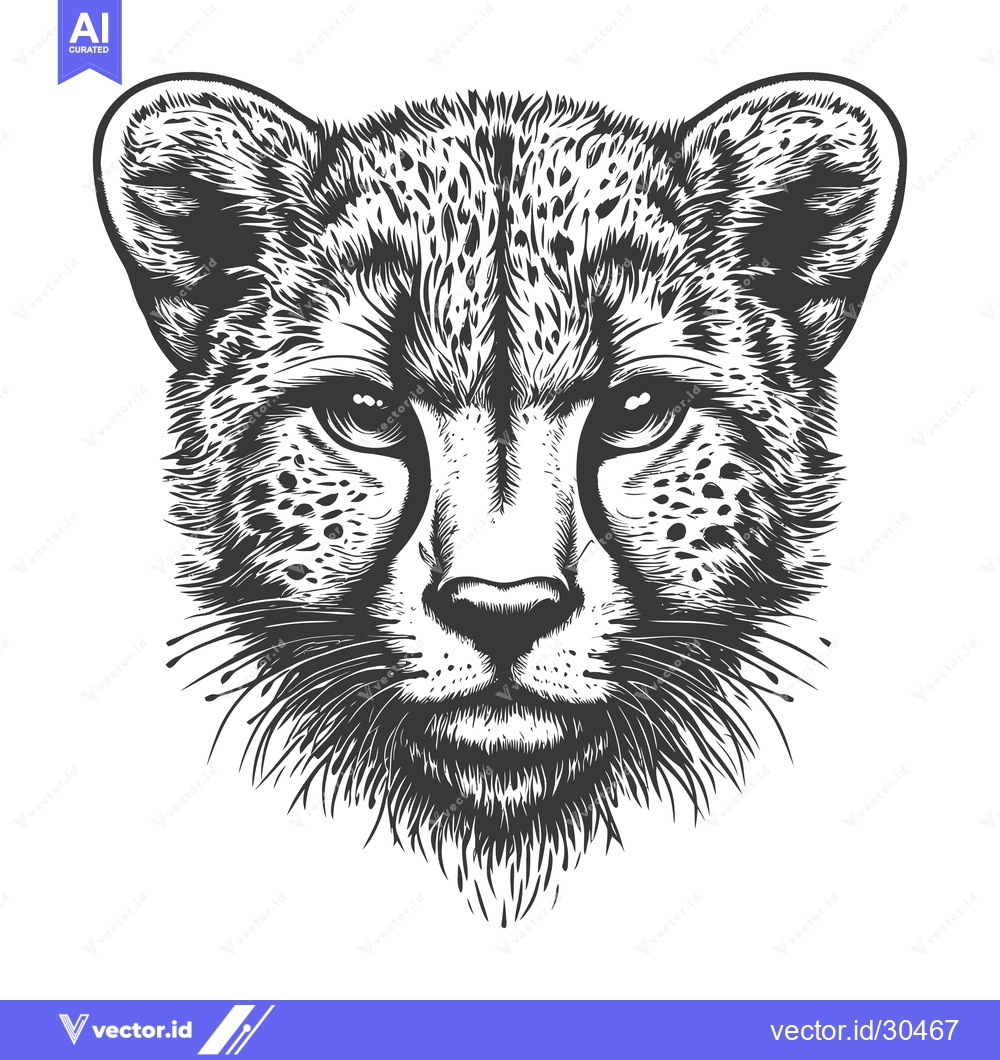 Premium Vector of Cheetah Head Illustration in Black and White
