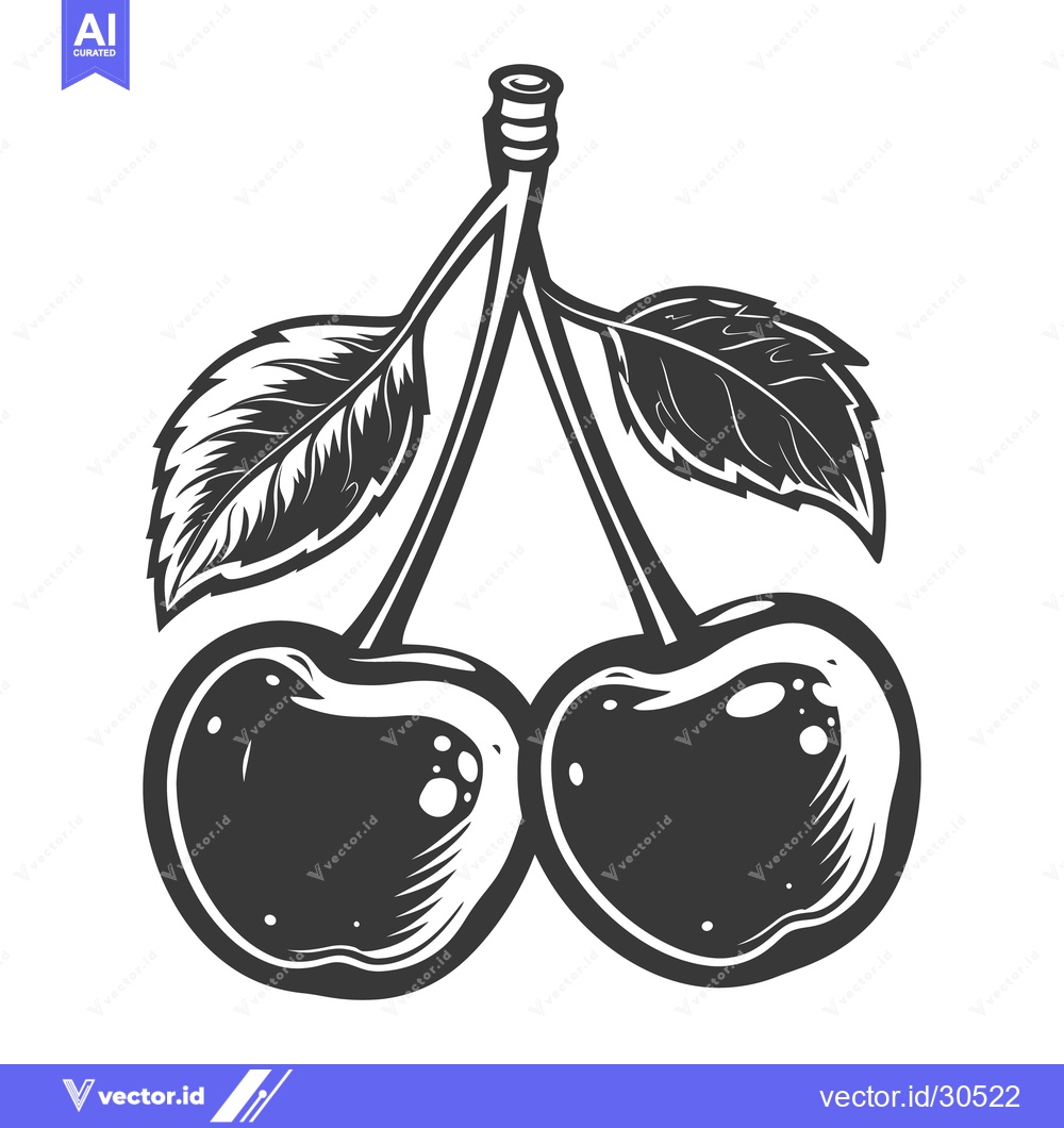 Premium Vector dari Detailed image presenting a pair of cherries on a single stem