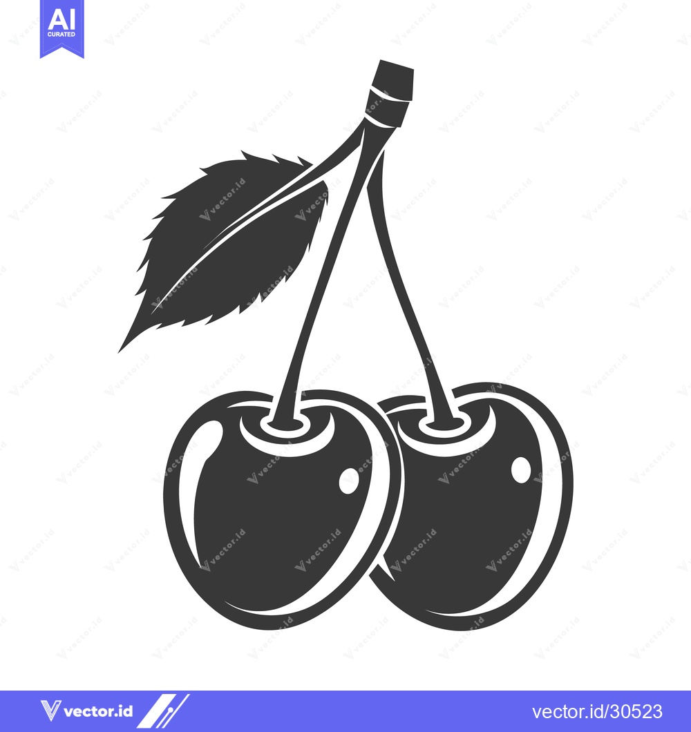 Premium Vector dari Two dark cherries with a leaf against a white background