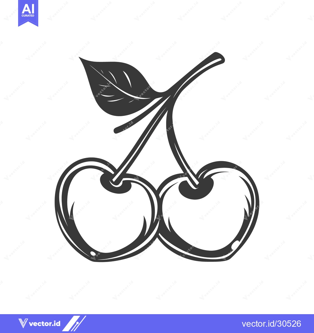 Premium Vector of Two ripe cherries are connected with a stem and a leaf