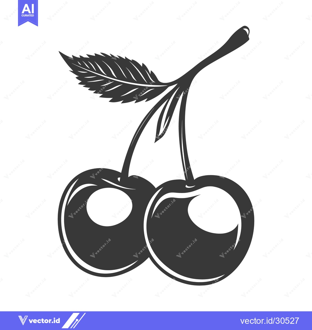 Premium Vector dari Two cherries connected by stems with a detailed green leaf
