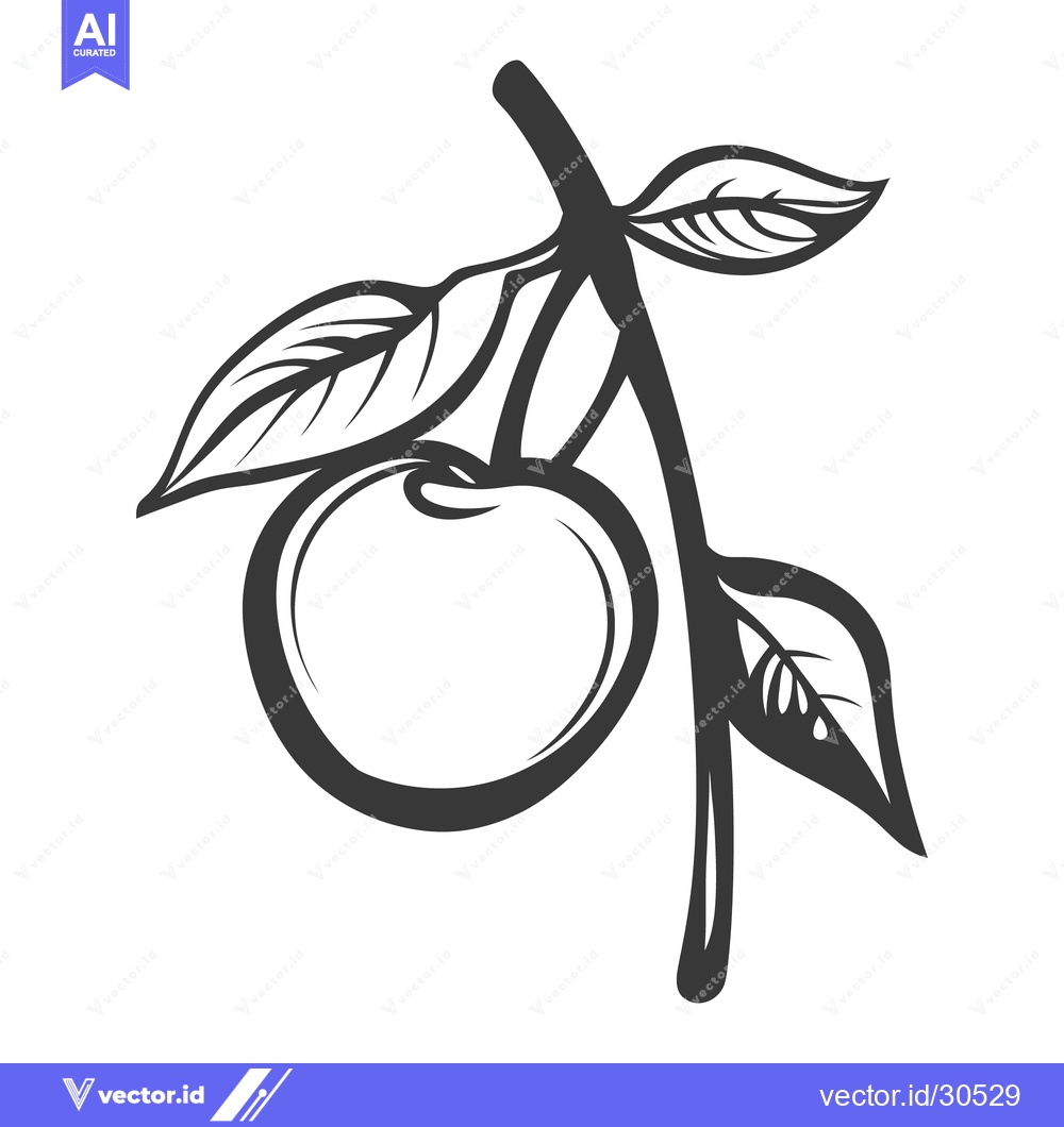 Premium Vector dari A single piece of fruit hangs on a branch with leaves