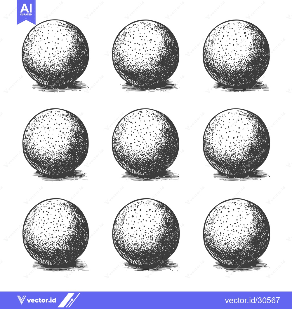 Premium Vector dari Nine Detailed Drawings of Round Citrus Fruits