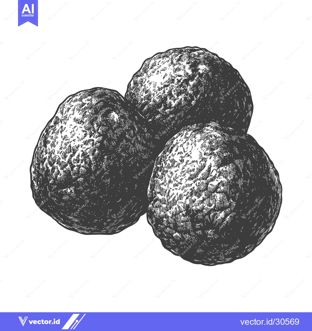Premium Vector dari Three Dark Round Fruits Arranged Together
