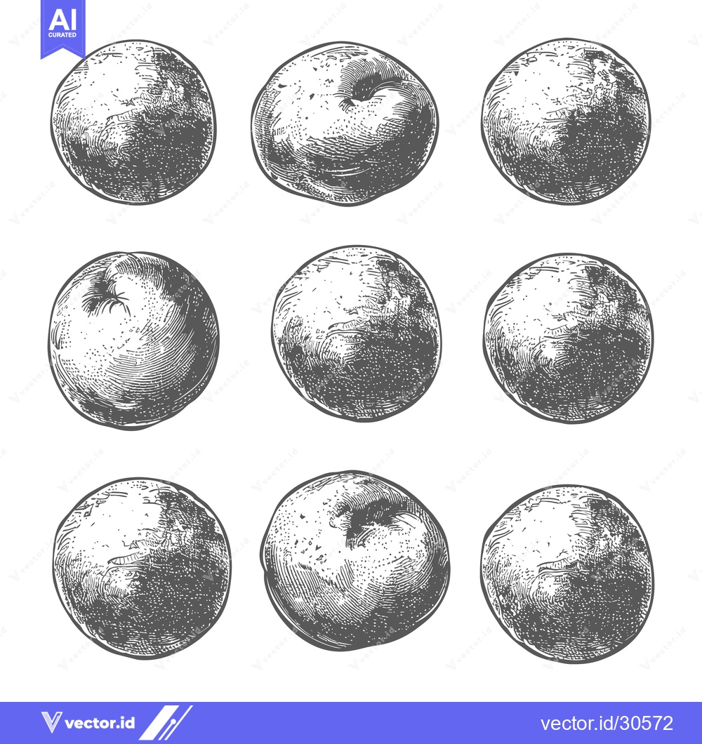 Premium Vector dari Nine Detailed Engravings of Apples Showcase Their Texture