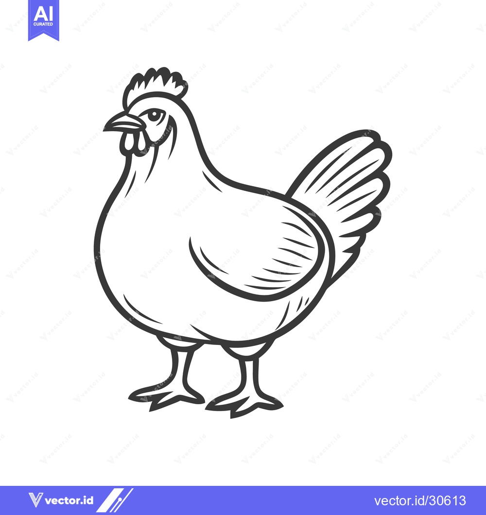 Premium Vector dari A black and white image of a standing hen bird