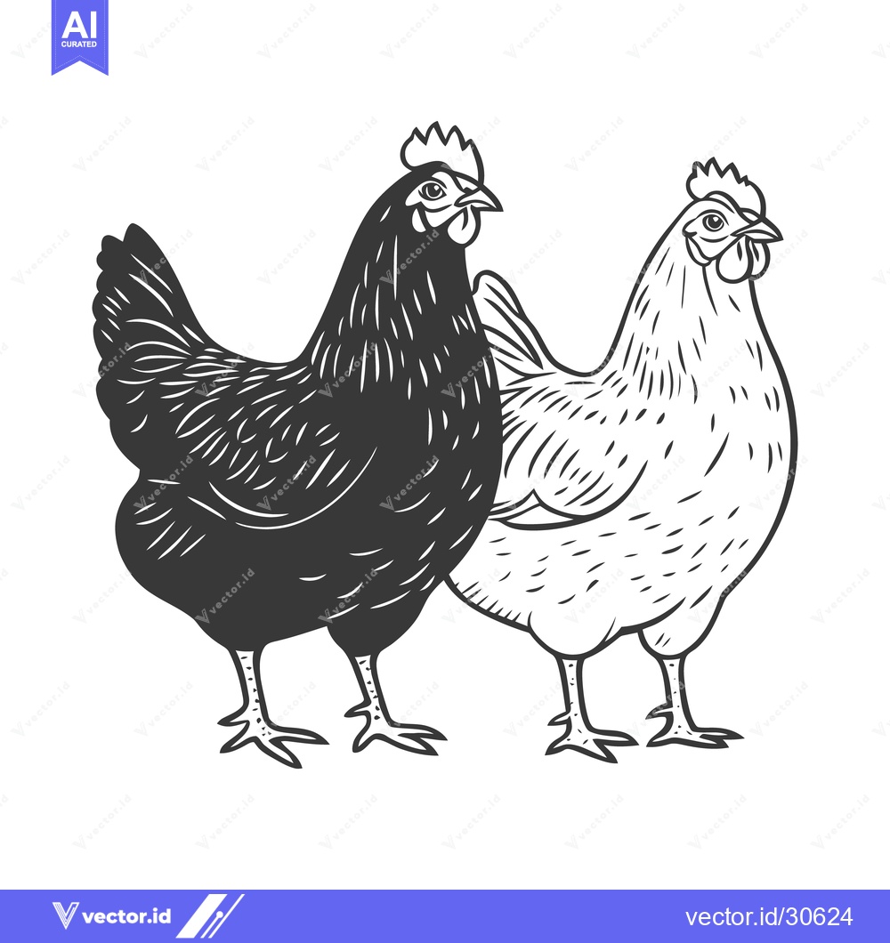 Premium Vector of Two stylized chickens in black and white illustration posture side by