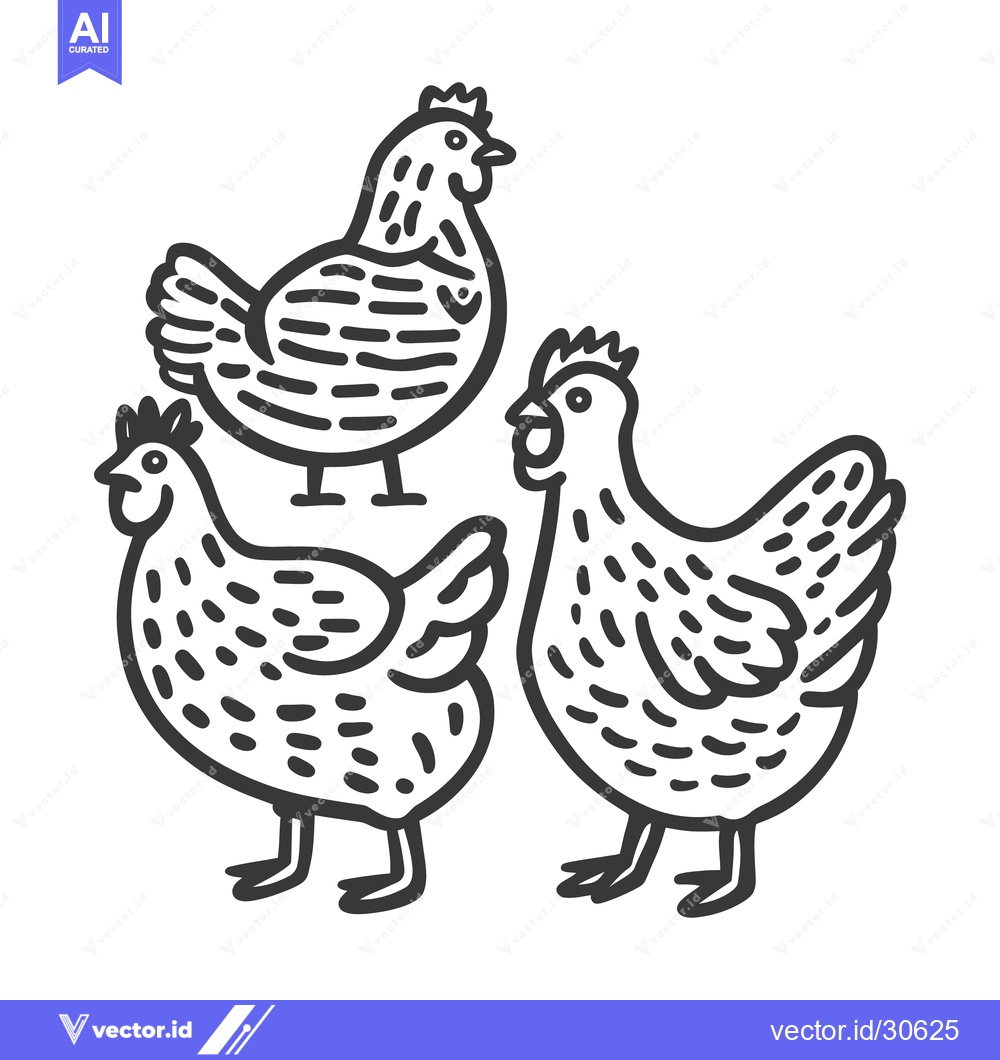 Premium Vector of Three simplified line art illustrations of farmyard fowl chickens