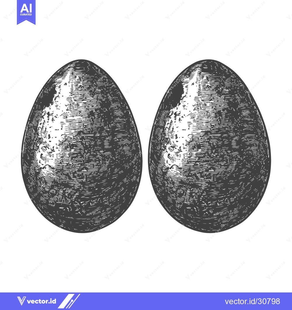 Premium Vector dari Two Detailed Engraved Bird Eggs Illustration