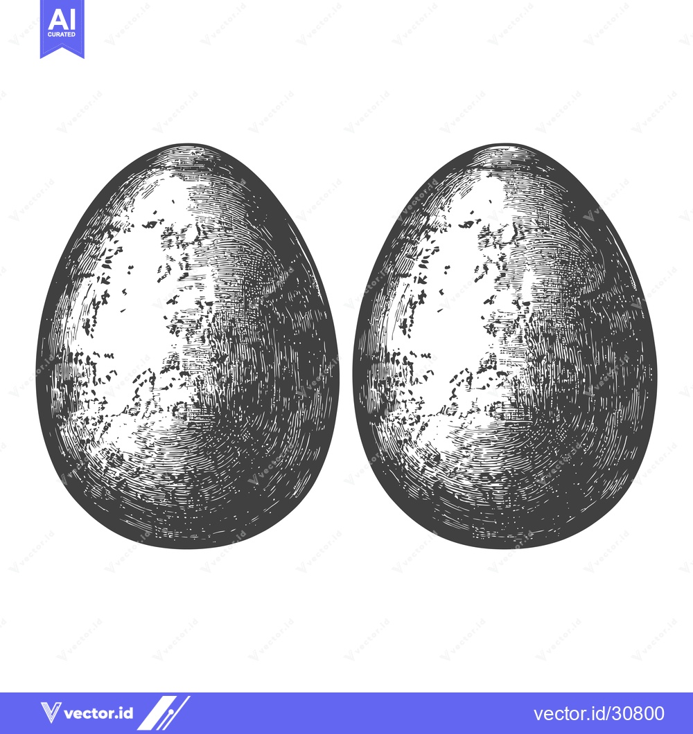 Premium Vector dari Two Eggs Drawn In A Detailed Etched Style