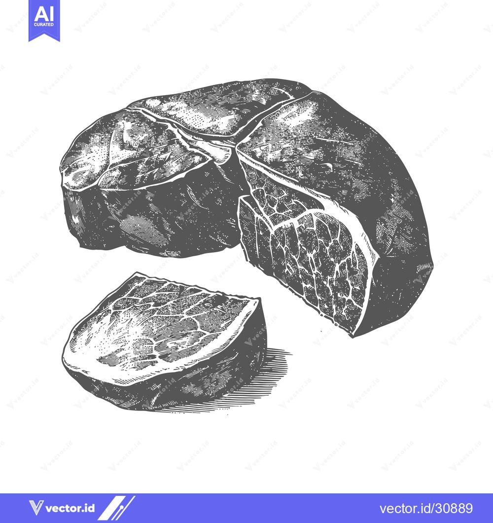 Premium Vector dari A Detailed Illustration Of A Raw Beef Steak