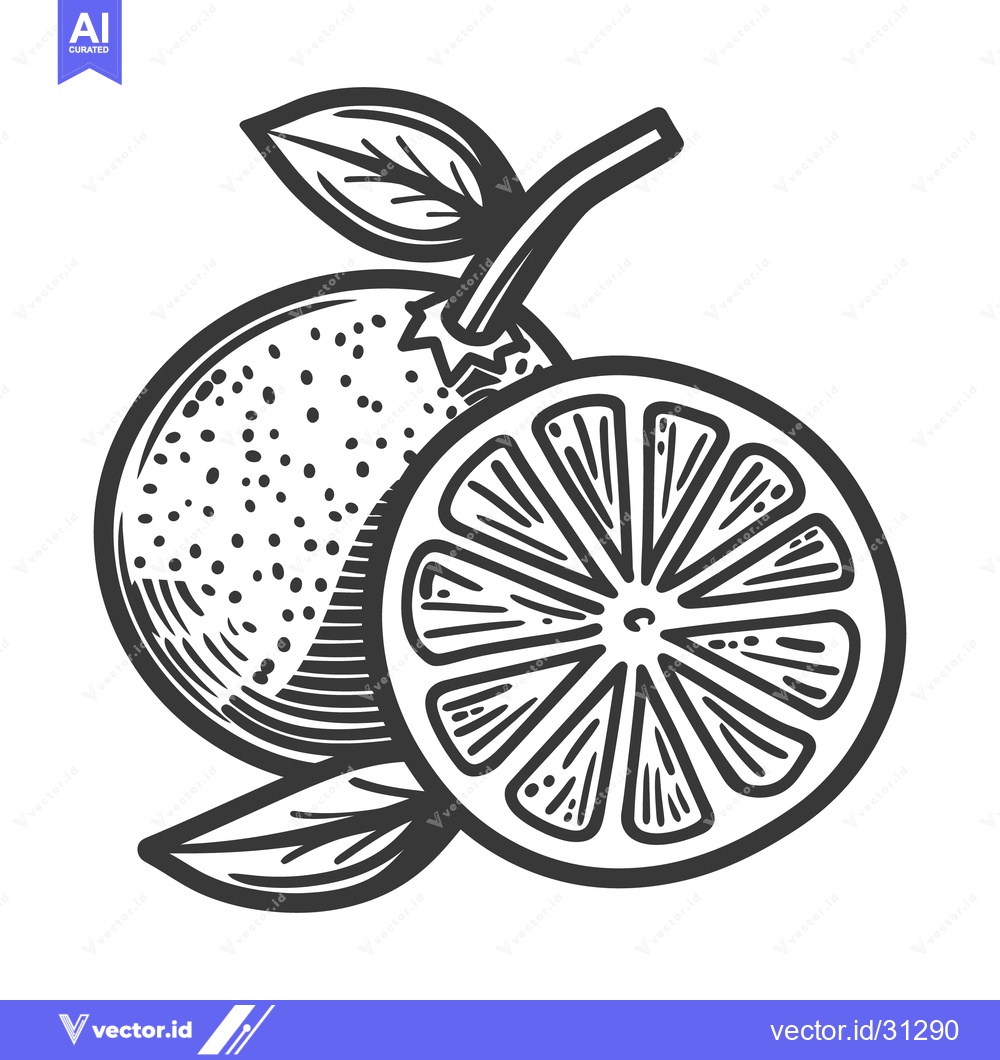 Premium Vector dari Two oranges with leaves and one sliced fruit illustration