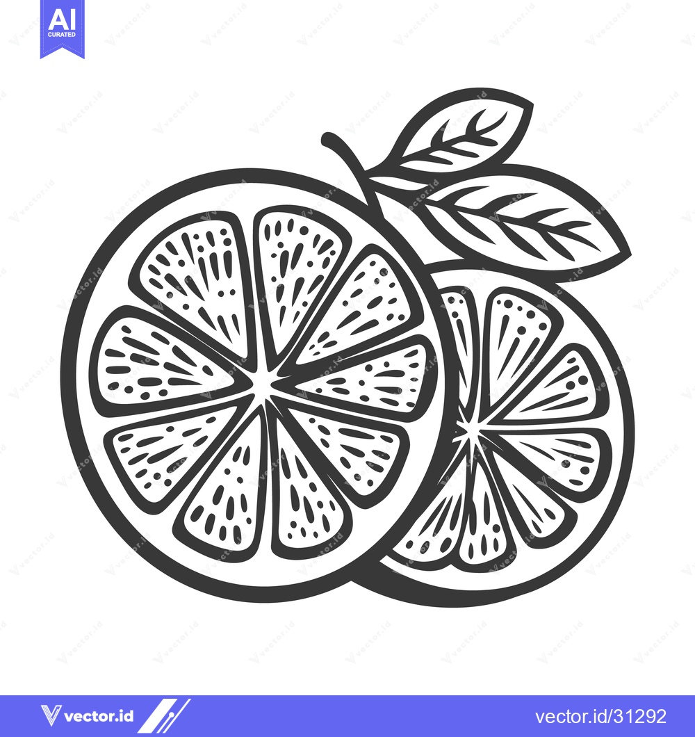 Premium Vector of Two sliced citrus fruits with leaves appear in graphic form