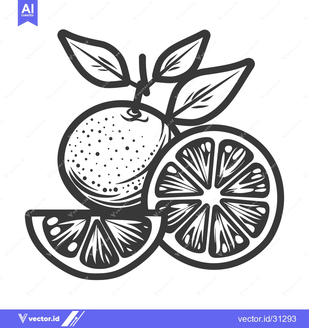 Premium Vector of Detailed black and white illustration of various citrus fruits and lea