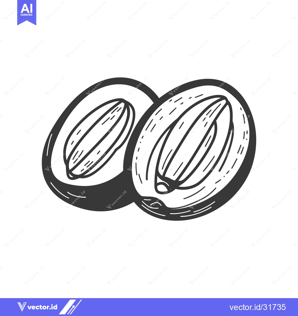 Premium Vector dari A hand drawn illustration depicting two halves of a fruit