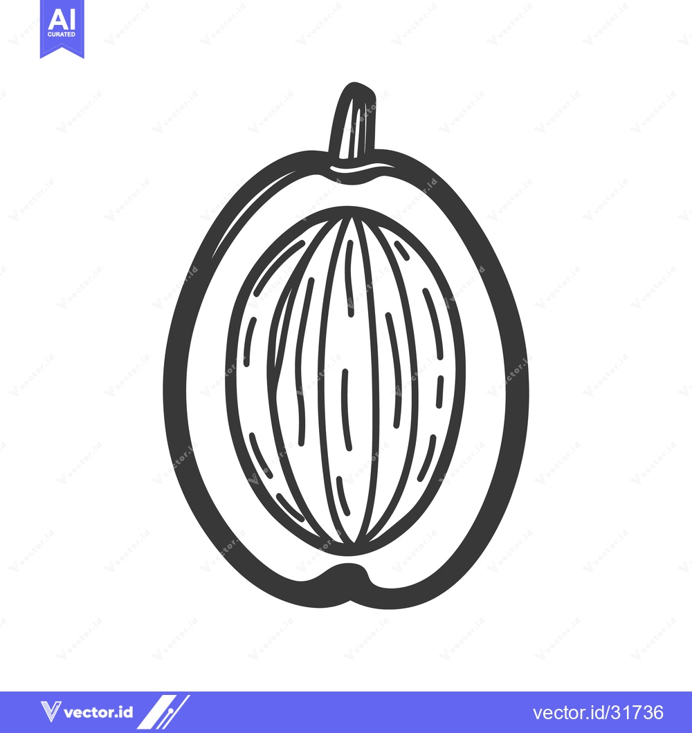 Premium Vector dari A half fruit with a kernel visible in the center
