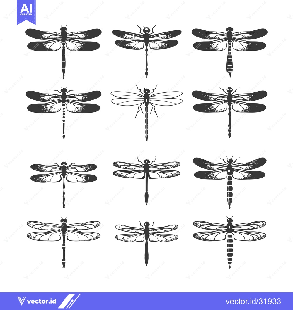 Premium Vector of Collection of 12 Hand-Drawn Dragonfly Illustrations in Black and White