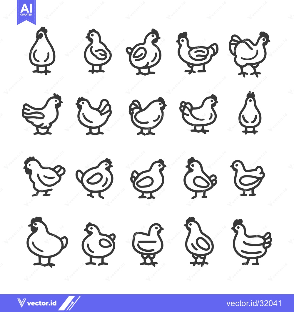 Premium Vector of Collection of 20 Line Art Chicken Illustrations