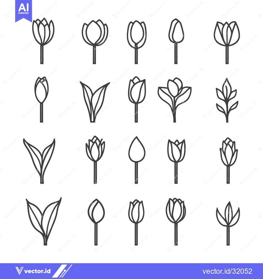 Premium Vector dari Collection of 20 Line Drawings of Tulips in Various Stages of Growth