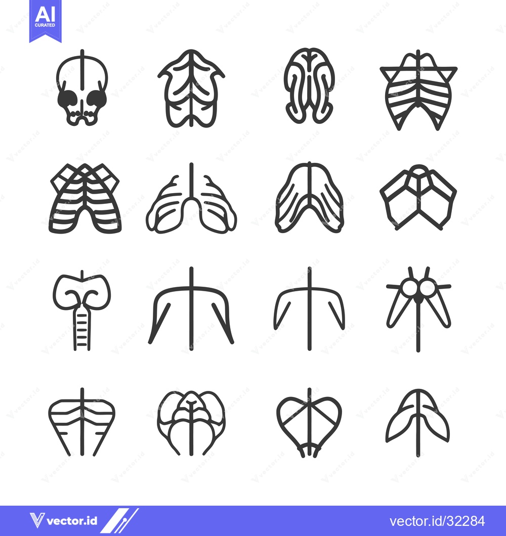 Premium Vector of Collection of Anatomical Body Parts Line Icons