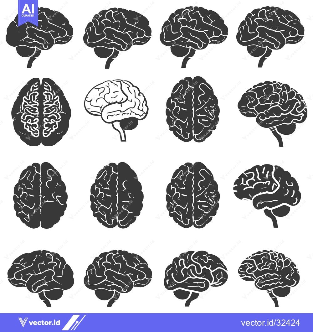 Premium Vector dari Collection of Black and White Human Brain Illustrations
