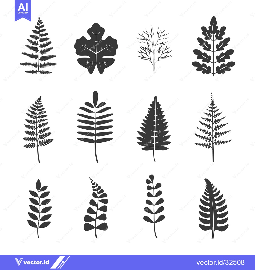Premium Vector of Collection of Black and White Silhouettes of Different Leaves and Bran