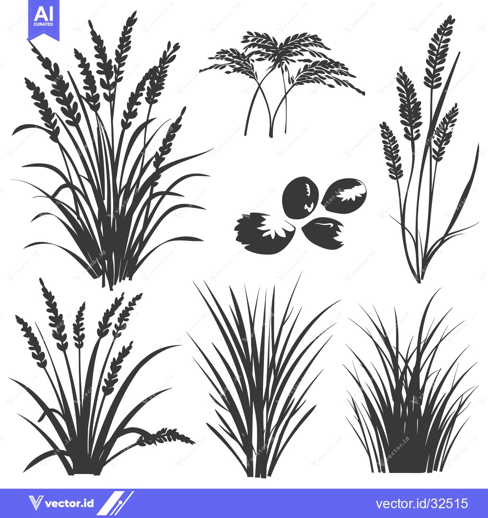 Premium Vector dari Collection of Black and White Silhouettes of Grass and Wheat