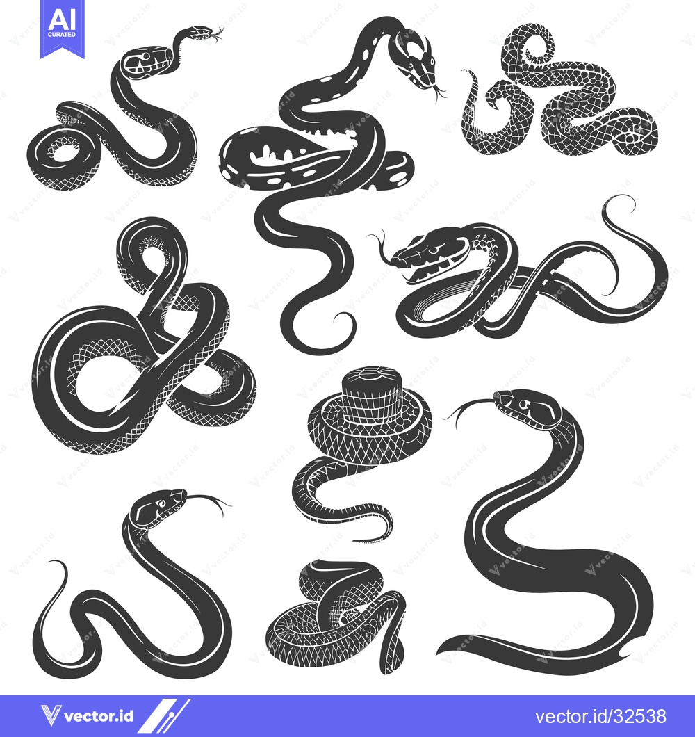 Premium Vector dari Collection of Black and White Snake Silhouettes in Various Poses