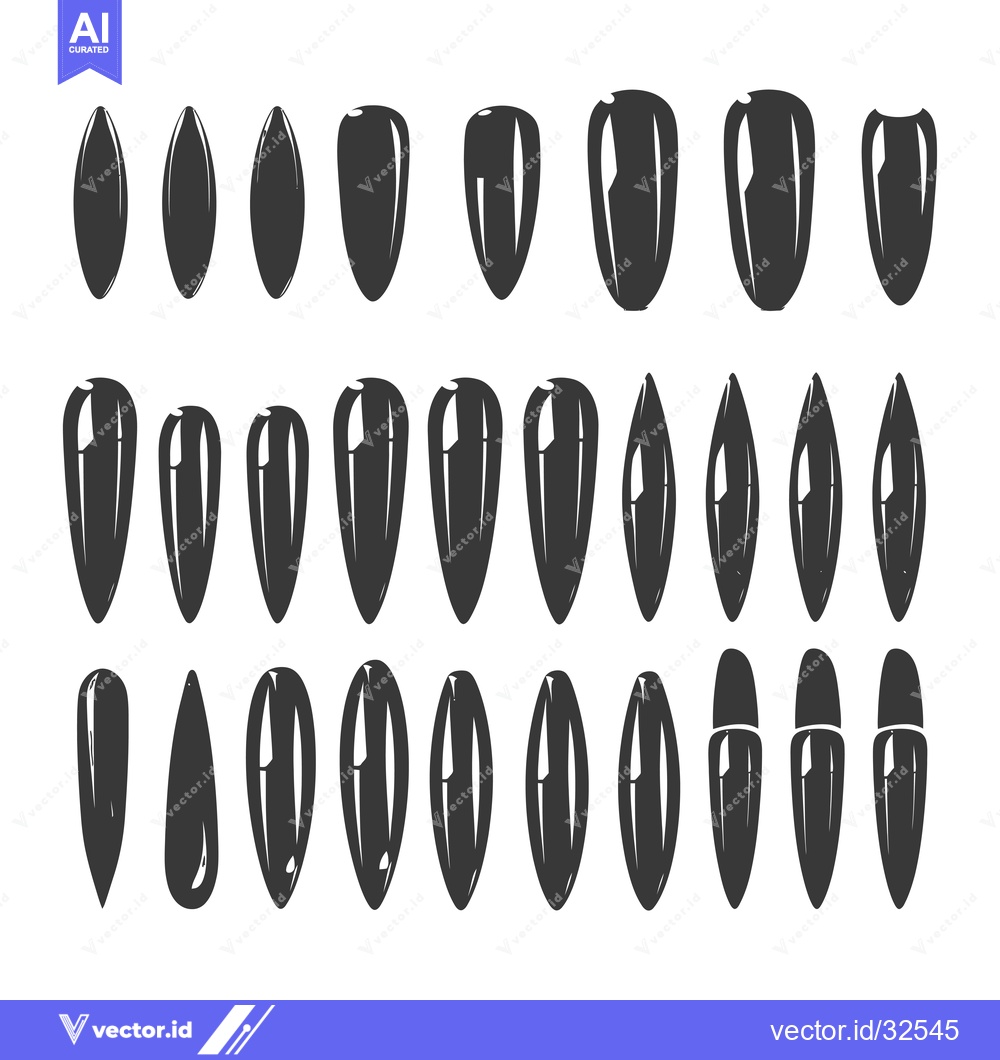 Premium Vector of Collection of Black and White Sunflower Seed Silhouettes